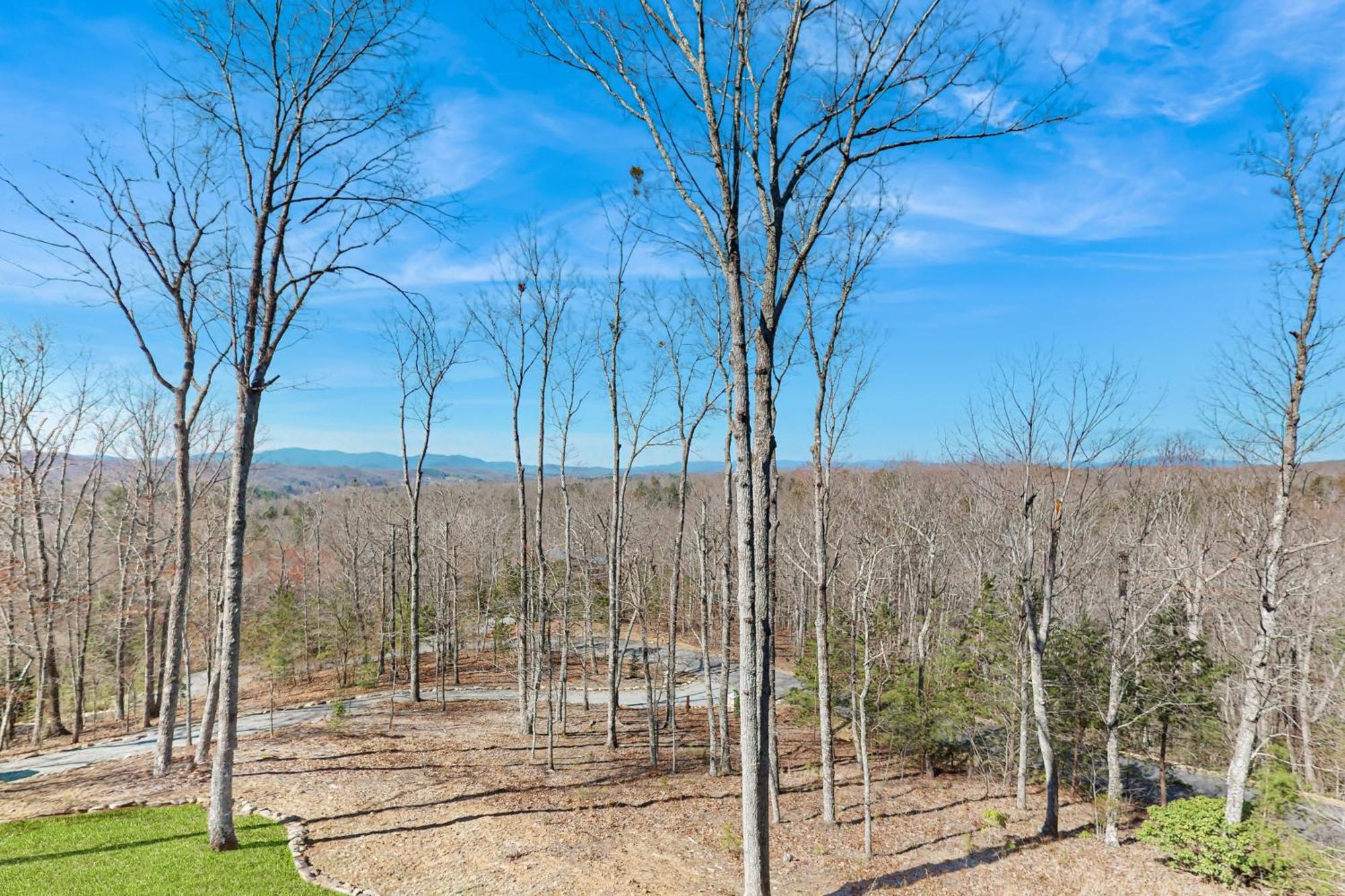 Bougie Bear Cabin Morganton Esterno foto